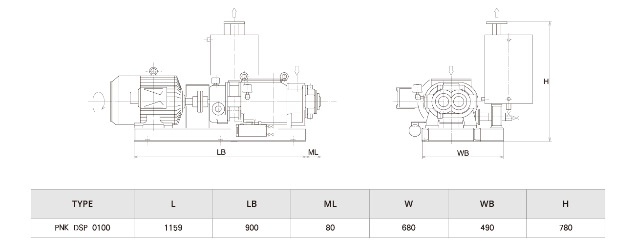PNK DSP 0100螺桿真空泵 PNK DSP 0100螺桿真空泵