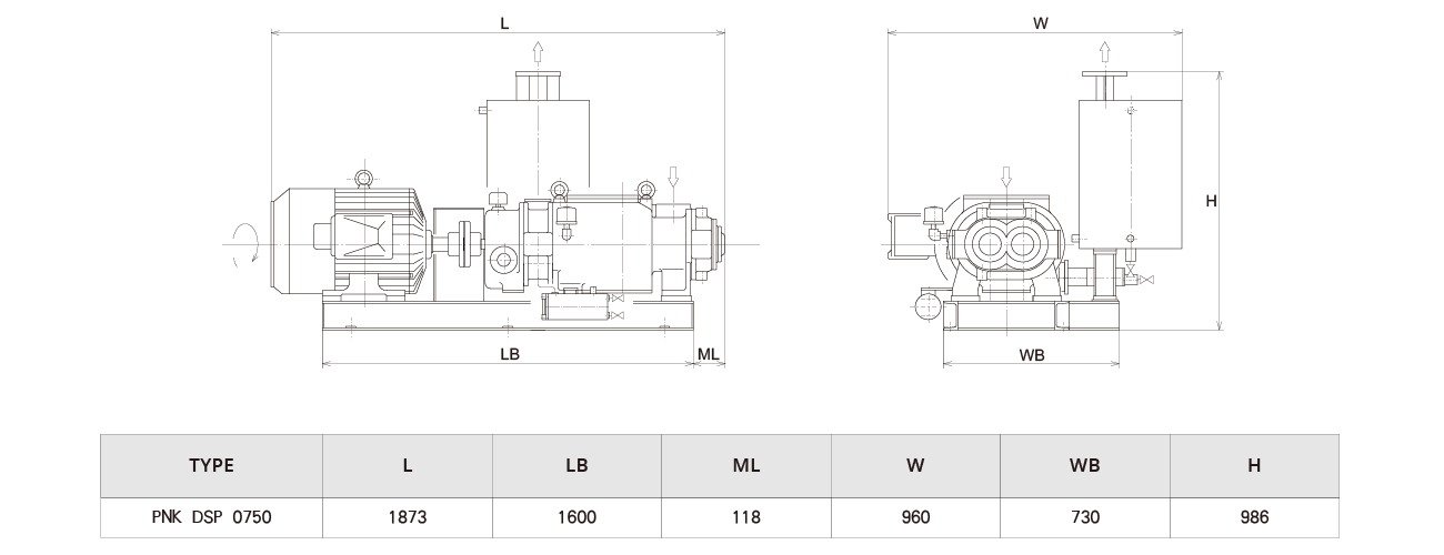 PNK DSP 0750螺桿真空泵 PNK DSP 0750螺桿真空泵