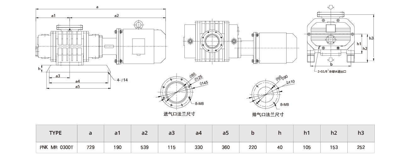 PNK MR 0300T羅茨真空泵 PNK MR 0300T羅茨真空泵