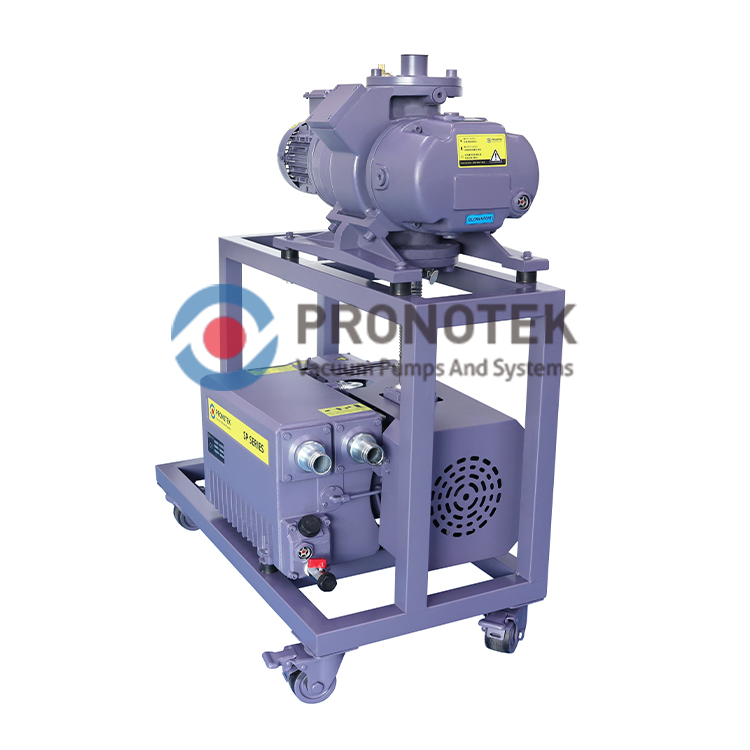 Pronotek PNK VS MR600-DP60 roots pump system