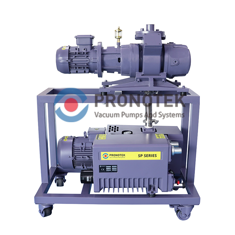 Pronotek PNK VS MR300-DP40 roots pump system